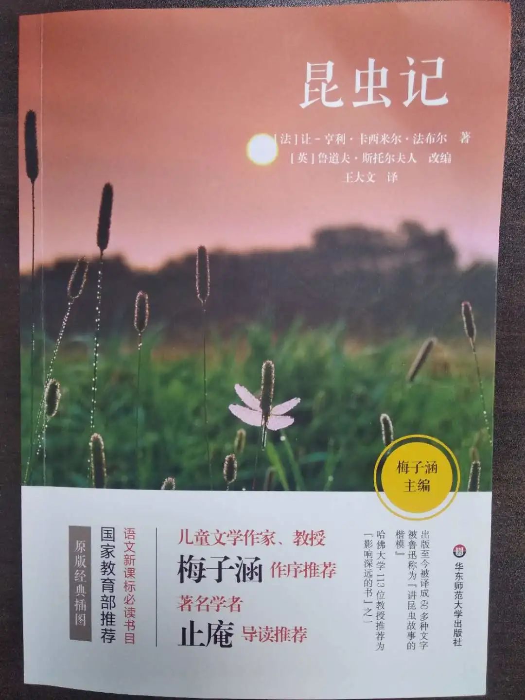 这些广告为啥被处罚?丨贝斯哲 这些广告为啥被处罚?丨贝斯哲