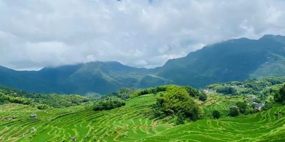 wxsync-2025-10-29c93398df8983812edbd1b764ec61a0