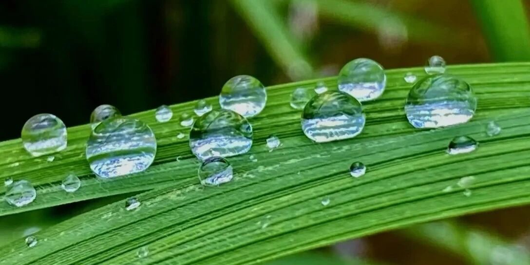 wxsync-2025-10-e5bdb86a8a66a1a6794ed25ef5b3e342